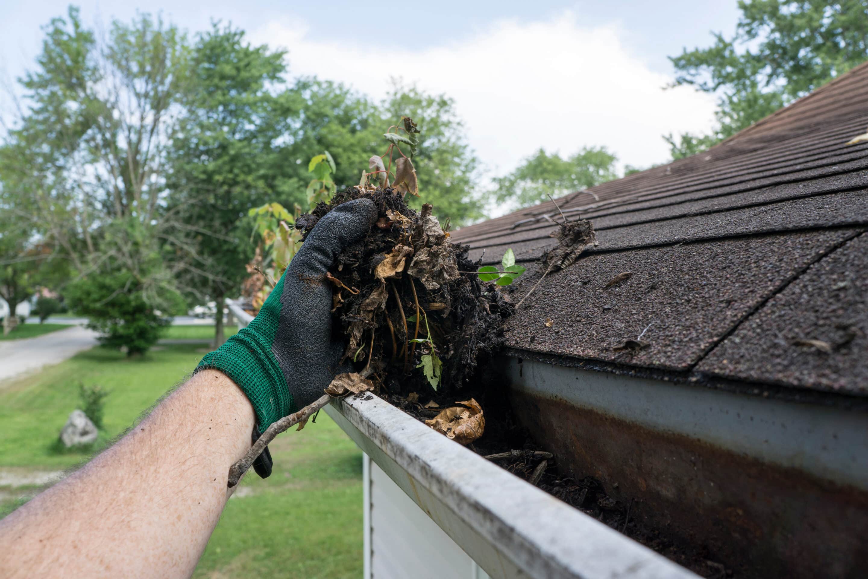 Gutter Cleaning Services scaled